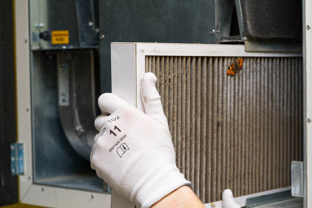 Best Best Air Duct Cleaning Company  in Olivia, MN