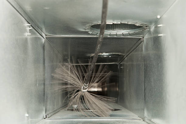 Best Dryer Vent Cleaning Services  in Olivia, MN