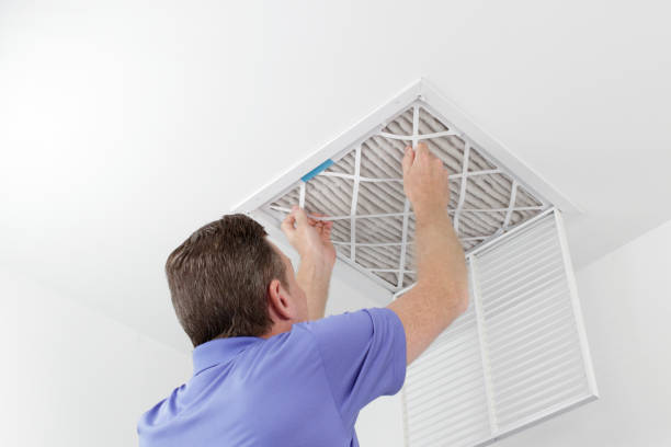 Best Ventilation Cleaning Services  in Olivia, MN